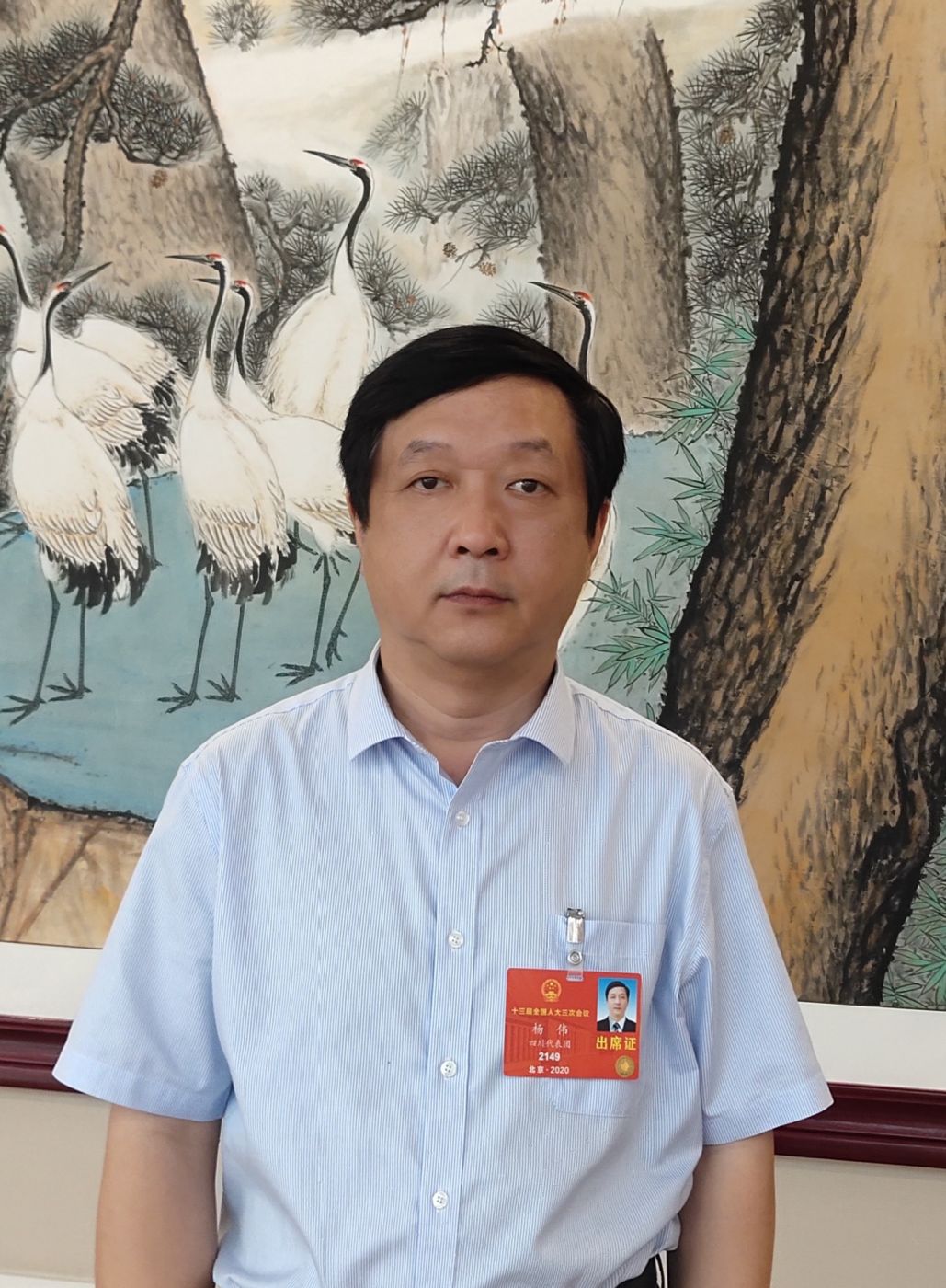 2.全国人大代表、中国科学院院士、完美网-完美网(中国)副总经理杨伟